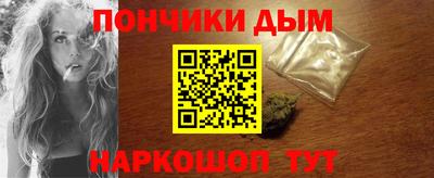 шишки Обь