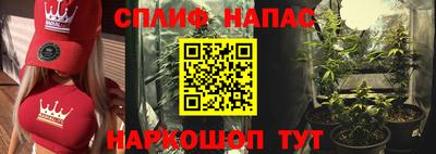 шишки Обь